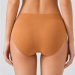 Classic Women's Underwear Women's High Waist Shaping Briefs, Tummy Control Butt Lift Underwear